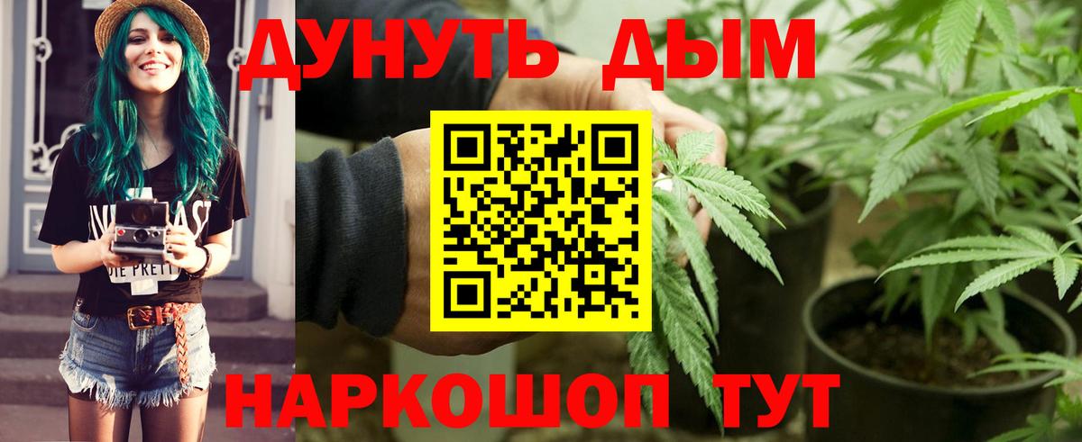 Шишки марихуана Bruce Banner  Вход с VPN  Приморско-Ахтарск  Бошки Шишки MAZAR  Канабис марихуана 